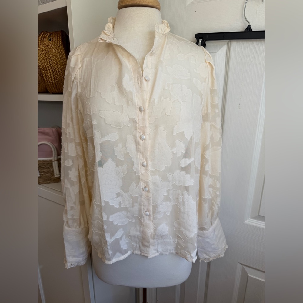 Romantic Sheer Jacquard Ruffle Blouse – Mixxon Modas (FORWHY) Size L